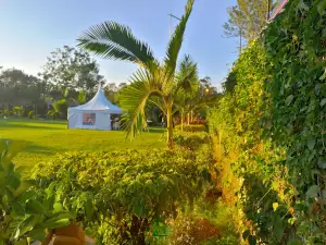 MIMA GARDENS & RESTAURANT