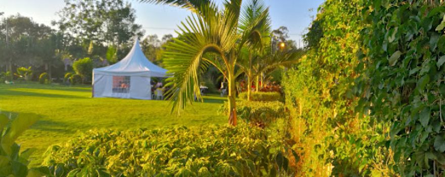 MIMA GARDENS & RESTAURANT