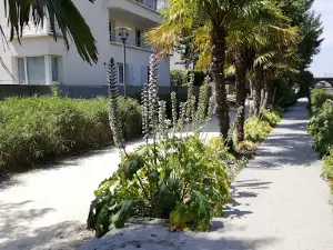 La Vilaine