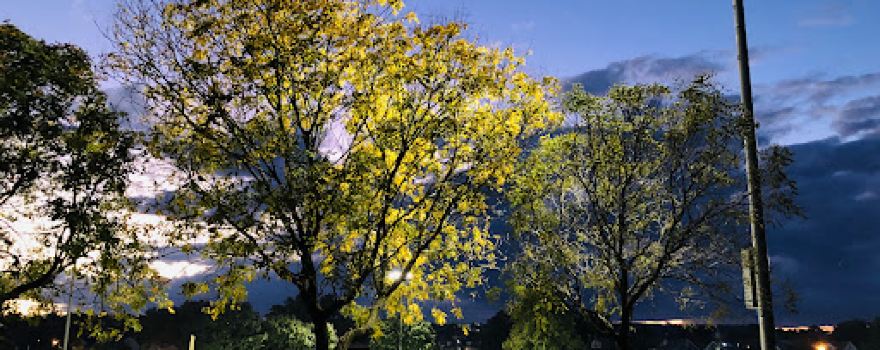 Nash Park