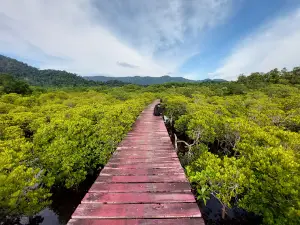 Salak Phet Mangrove Forest