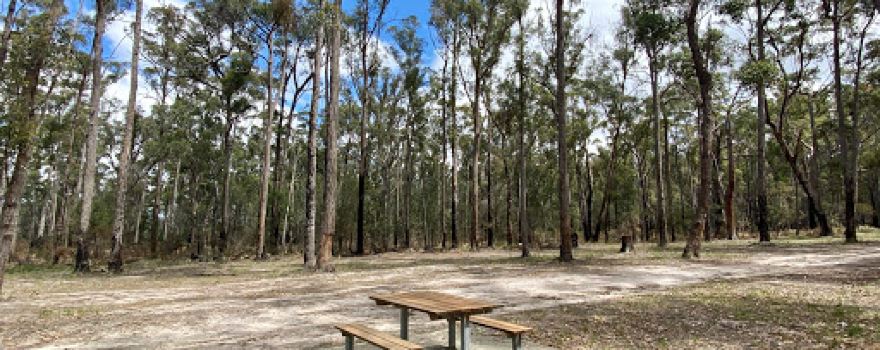 Nowa Nowa MTB Park