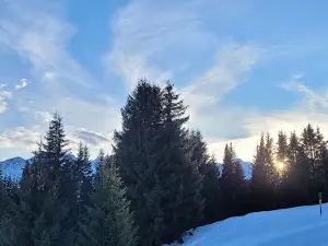 Eichhörnliweg Arosa