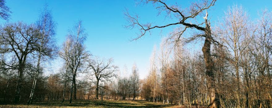Niwa Nowa Wies