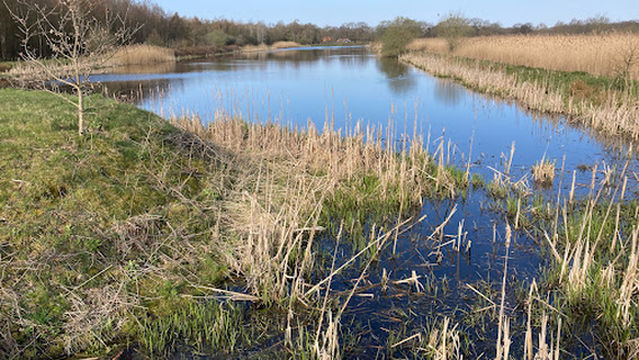 Holle-beetse-vennekampen