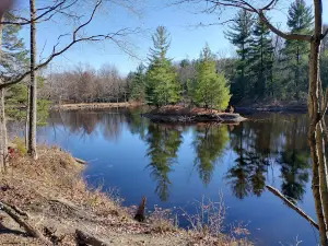 Griffin Bike Park