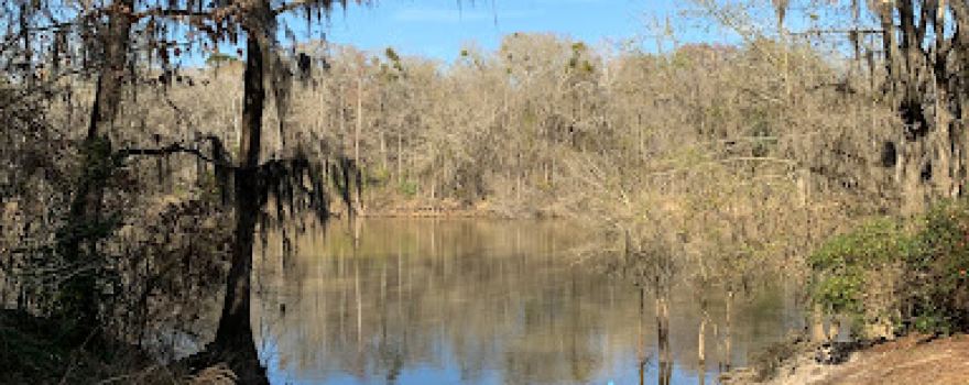 Mobley Bluff boat Ramp/Campground