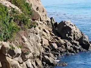 Katiki Point Lighthouse