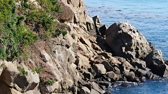 Katiki Point Lighthouse