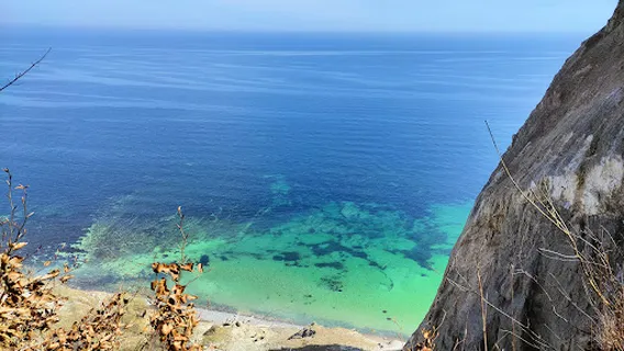 Stranden Møns Klint