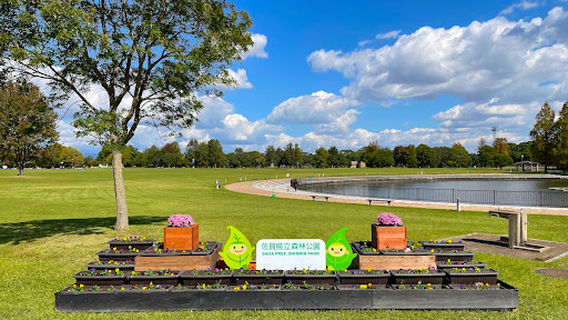 Saga Prefectural Shinrin Park