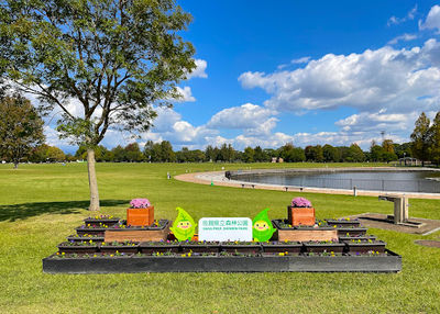 Saga Prefectural Shinrin Park