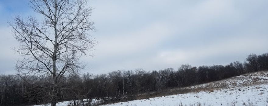 Tanglewood Nature Preserve