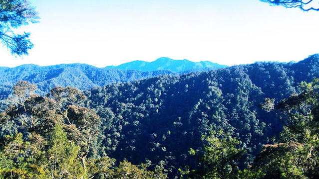 Tanete Gandangdewata