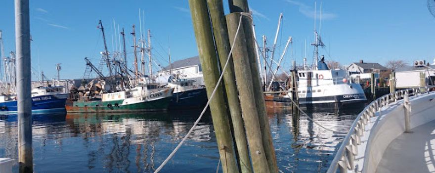 Gambler Deep Sea Fishing