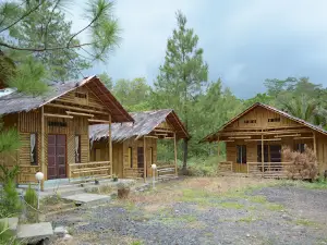 Pine Forest Travel And Hot Water