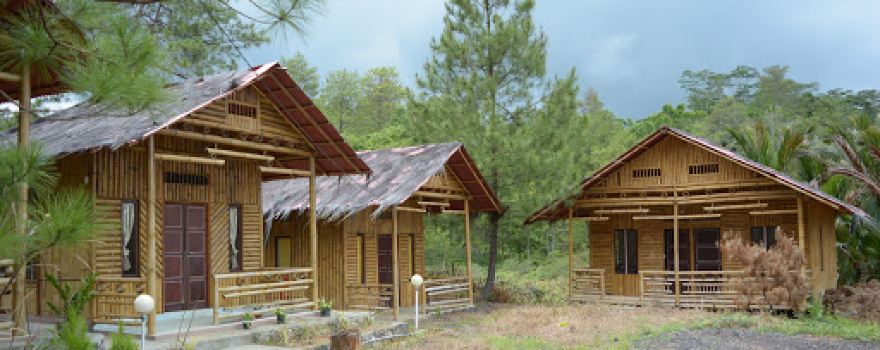 Pine Forest Travel And Hot Water
