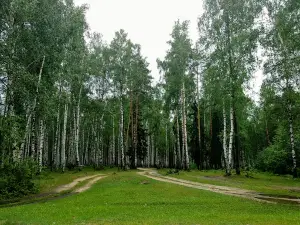 Стадион