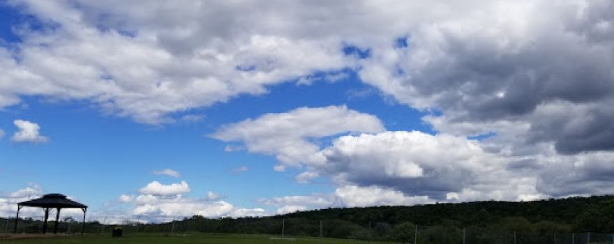 Cheshire Dog Park