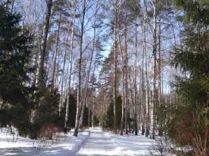 Детский центр "Лесная Сказка" (база "Сказка" и база "Чайка")