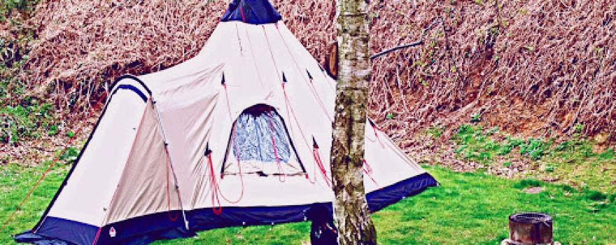 Dreamy Hollow Woodland Campsite