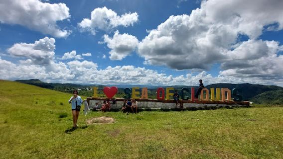 Bohol Sea of Clouds