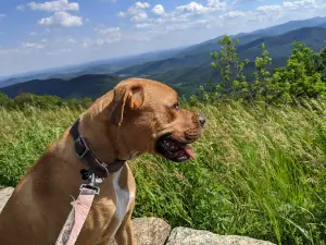 Range View Overlook