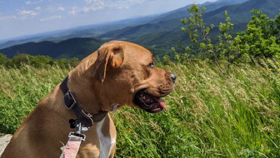 Range View Overlook