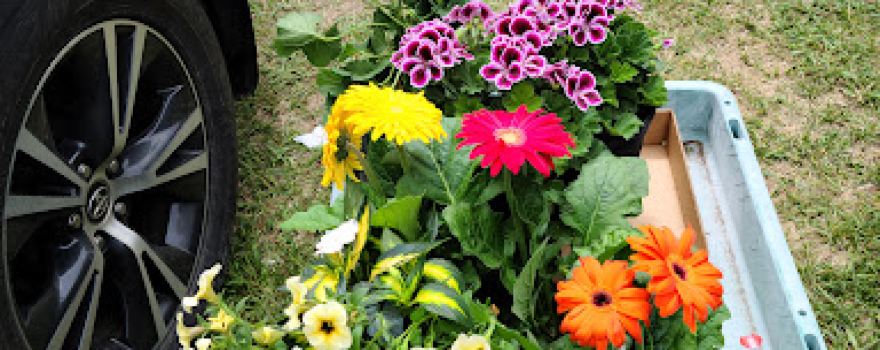 Chretien & Sons Greenhouses