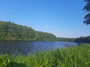 Baza Vidpochynku "Korchyn"