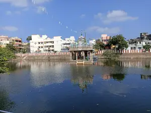 Arulmigu Sri Parthasarathyswamy Temple