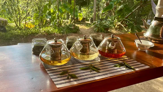 Ella organic tea garden