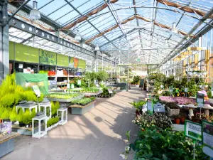 Plants Breuer E.K. Hennef