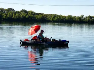 Coffeen Lake State Fish & Wild