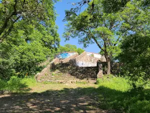 BOSQUE JUÁREZ