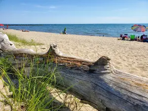 Hammonasset Natural Area Preserve