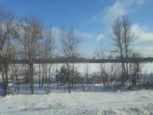 Pine Island State Wildlife Area