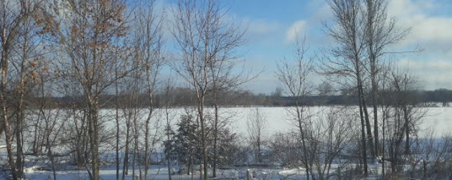 Pine Island State Wildlife Area