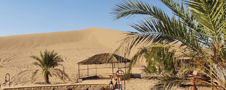 Al khatim safari