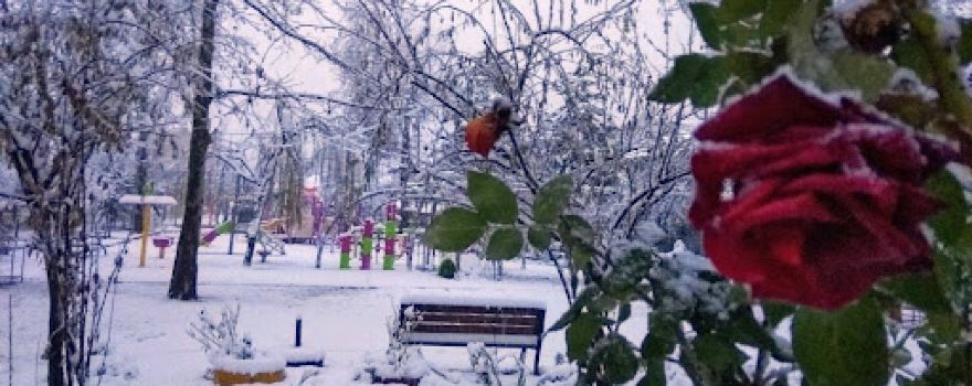 Alperenler Parkı
