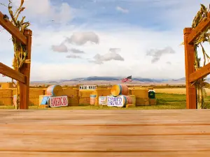 Beaverhead Maze and Pumpkin Patch