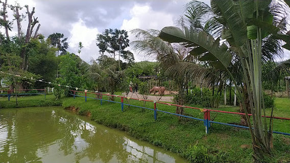 Kluang