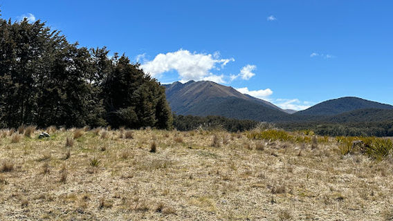 Orc mound - Uruk Hai's skull & Fangorn Forest