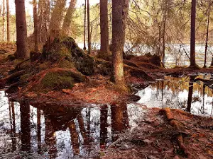 Kukuljärvi lean-to shelter and swimming beach