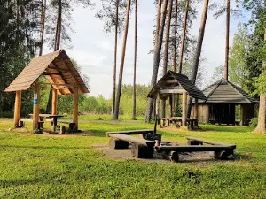 Vitipalu seikluste rada
