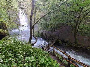 Fervenza De Vieiros