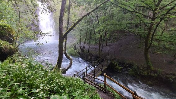 Fervenza De Vieiros