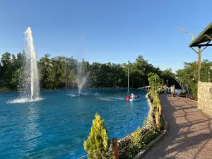 Igdir Urban Forest
