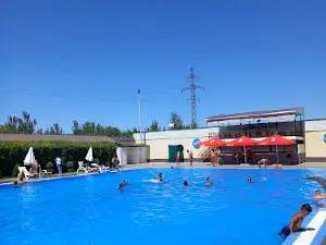 Oasis