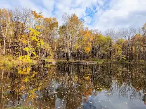 Парк